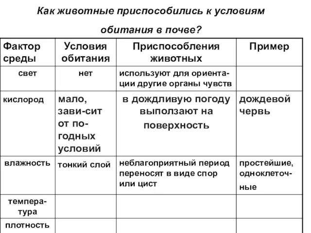 Как животные приспособились к условиям обитания в почве?