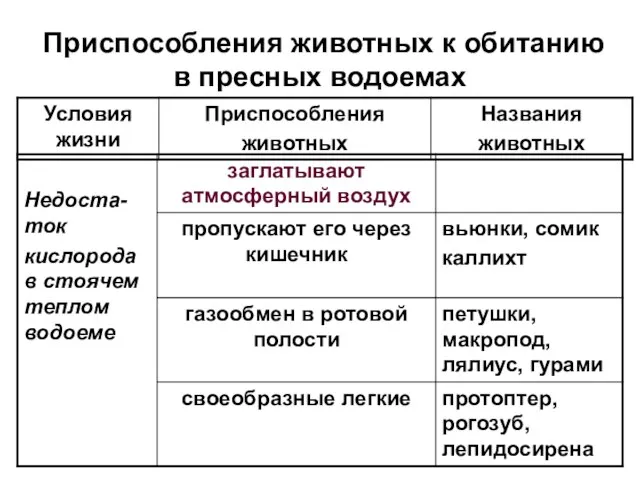 Приспособления животных к обитанию в пресных водоемах