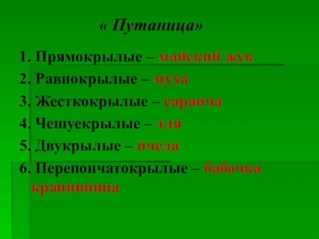 « Путаница» 1. Прямокрылые – майский жук 2. Равнокрылые – муха