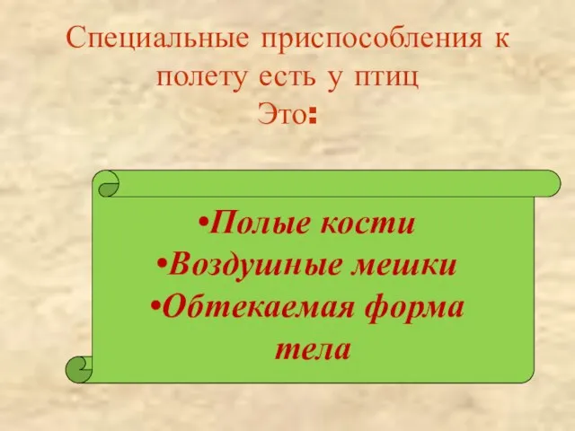 Специальные приспособления к полету есть у птиц Это: Полые кости Воздушные мешки Обтекаемая форма тела