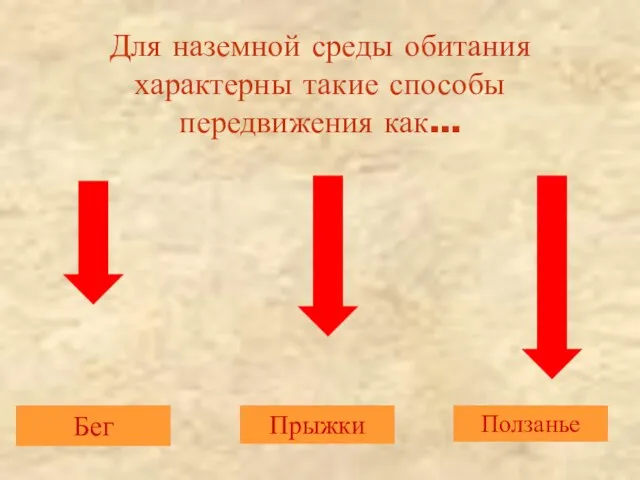 Для наземной среды обитания характерны такие способы передвижения как… Бег Прыжки Ползанье