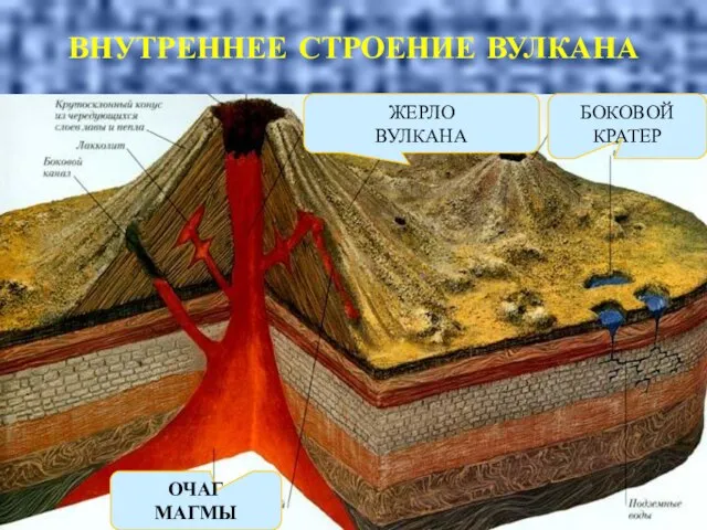 ВНУТРЕННЕЕ СТРОЕНИЕ ВУЛКАНА ЖЕРЛО ВУЛКАНА БОКОВОЙ КРАТЕР ОЧАГ МАГМЫ