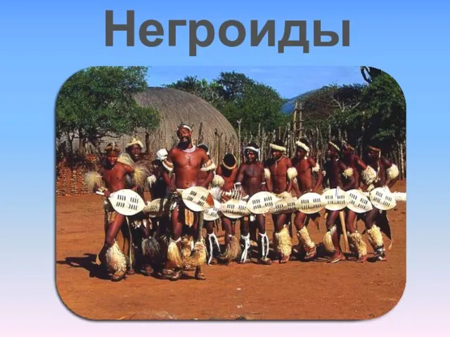 Негроиды