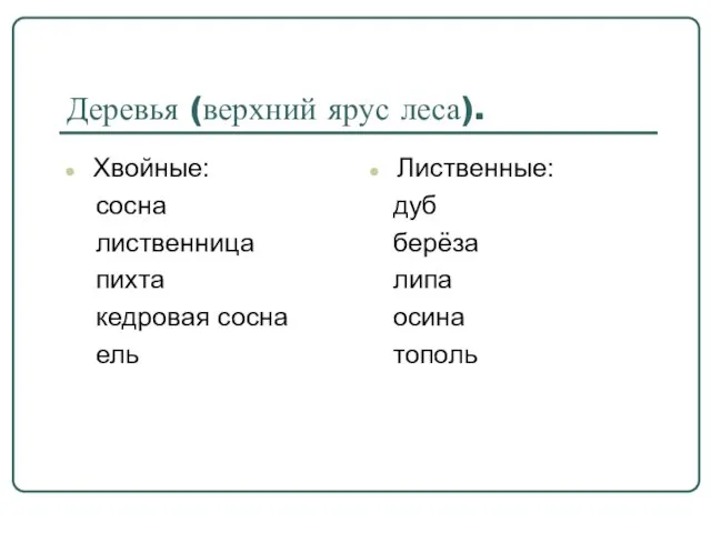 Деревья (верхний ярус леса). Хвойные: сосна лиственница пихта кедровая сосна ель