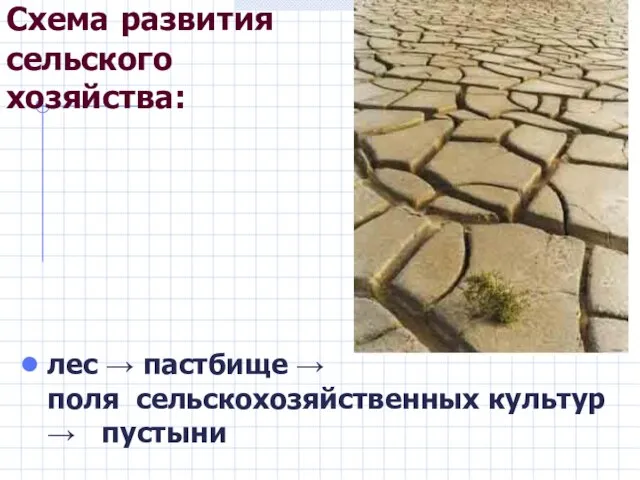 Схема развития сельского хозяйства: лес → пастбище → поля сельскохозяйственных культур → пустыни