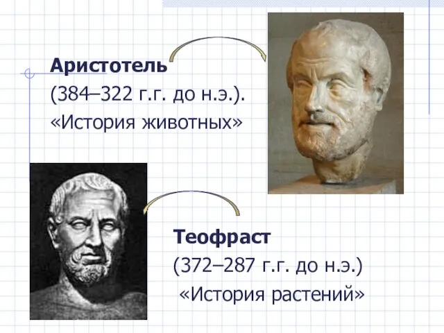 Аристотель (384–322 г.г. до н.э.). «История животных» Теофраст (372–287 г.г. до н.э.) «История растений»