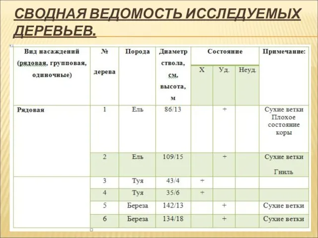 СВОДНАЯ ВЕДОМОСТЬ ИССЛЕДУЕМЫХ ДЕРЕВЬЕВ.