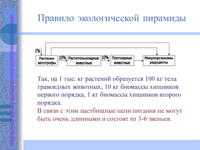 Так, на 1 тыс. кг растений образуется 100 кг тела травоядных