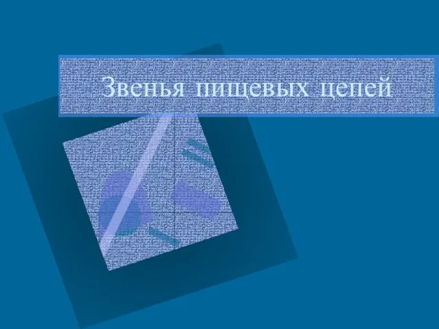 Звенья пищевых цепей