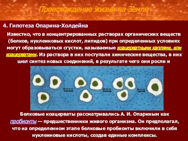 Происхождение жизни на Земле 4. Гипотеза Опарина-Холдейна Известно, что в концентрированных