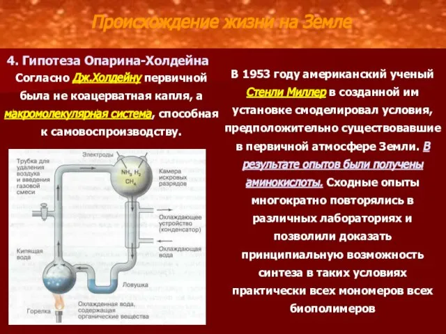 Происхождение жизни на Земле 4. Гипотеза Опарина-Холдейна Согласно Дж.Холдейну первичной была