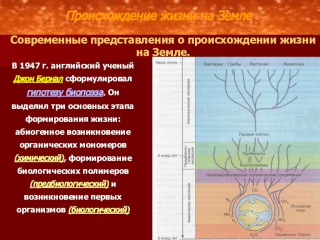 Происхождение жизни на Земле Современные представления о происхождении жизни на Земле.