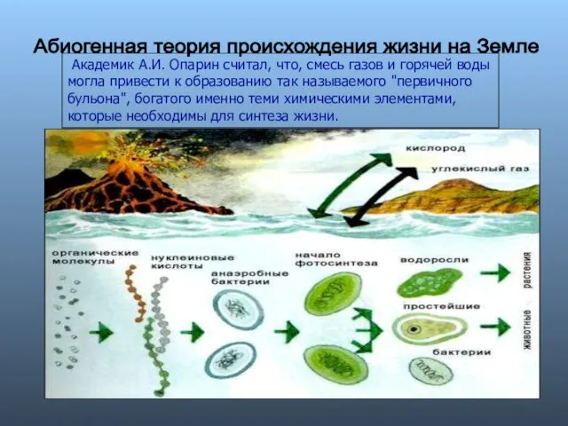 Абиогенная теория происхождения жизни на Земле Академик А.И. Опарин считал, что,