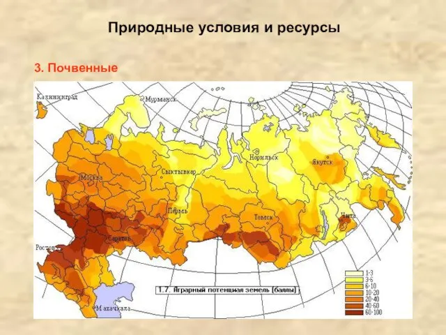 Природные условия и ресурсы 3. Почвенные