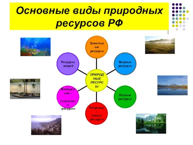 Основные виды природных ресурсов РФ