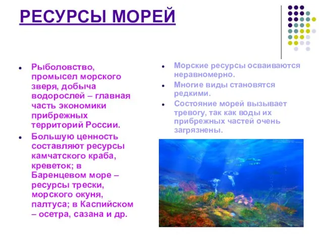 РЕСУРСЫ МОРЕЙ Рыболовство, промысел морского зверя, добыча водорослей – главная часть