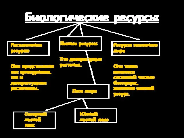 Биологические ресурсы Растительные ресурсы Они представлены как культурными, так и дикорастущими