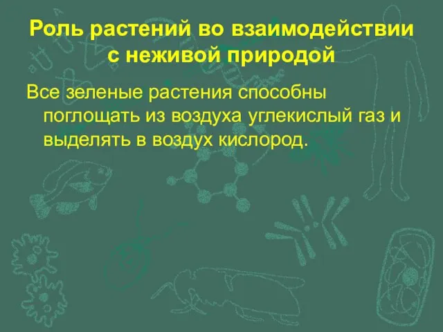 Роль растений во взаимодействии с неживой природой Все зеленые растения способны