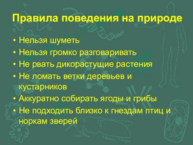 Правила поведения на природе Нельзя шуметь Нельзя громко разговаривать Не рвать