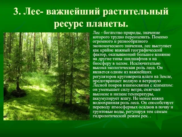 3. Лес- важнейший растительный ресурс планеты. Лес - богатство природы, значение