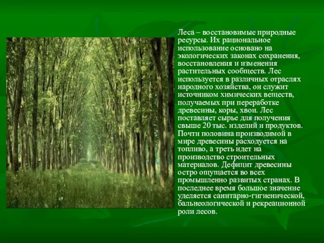 Леса – восстановимые природные ресурсы. Их рациональное использование основано на экологических