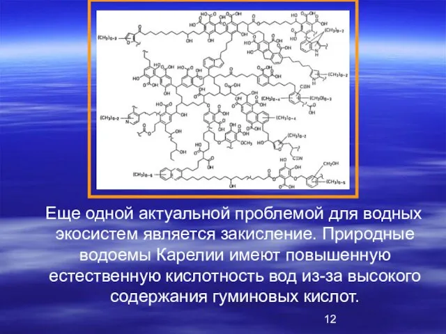 Еще одной актуальной проблемой для водных экосистем является закисление. Природные водоемы