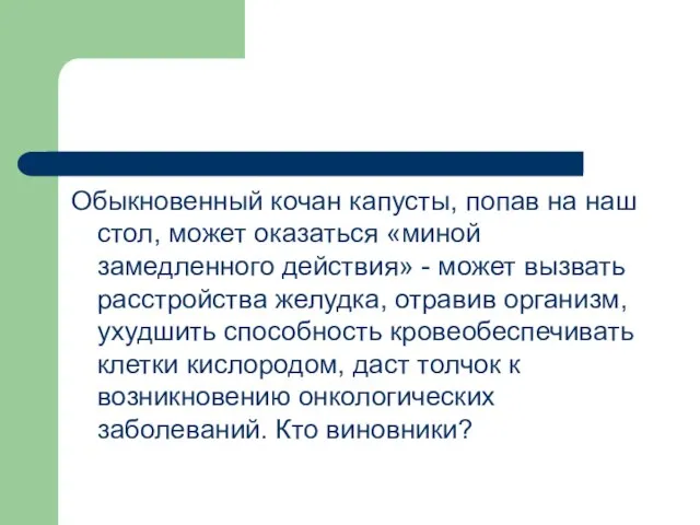 Обыкновенный кочан капусты, попав на наш стол, может оказаться «миной замедленного