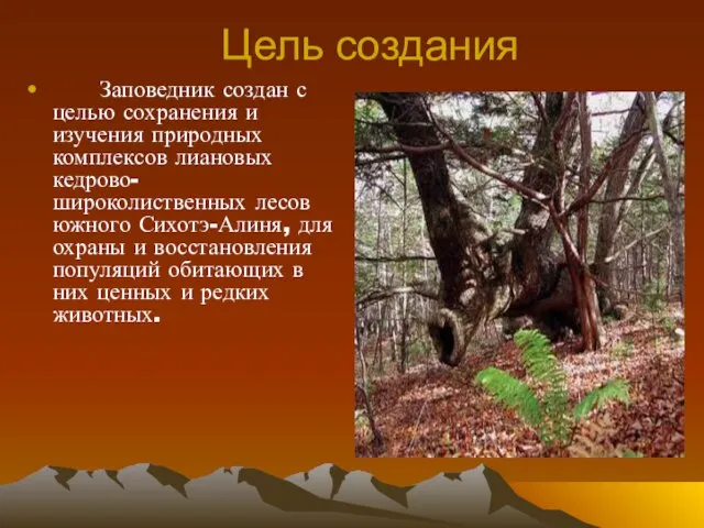 Заповедник создан с целью сохранения и изучения природных комплексов лиановых кедрово-широколиственных