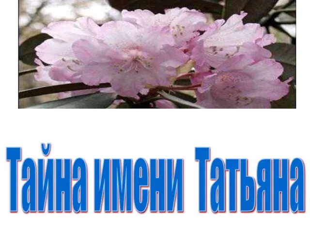 Тайна имени Татьяна