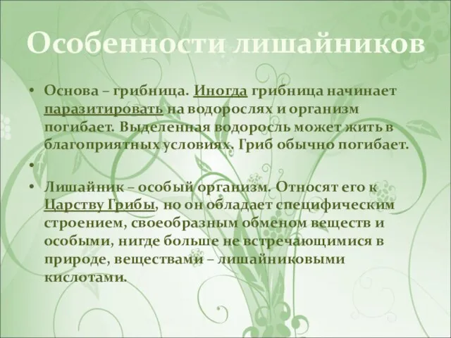 Особенности лишайников Основа – грибница. Иногда грибница начинает паразитировать на водорослях