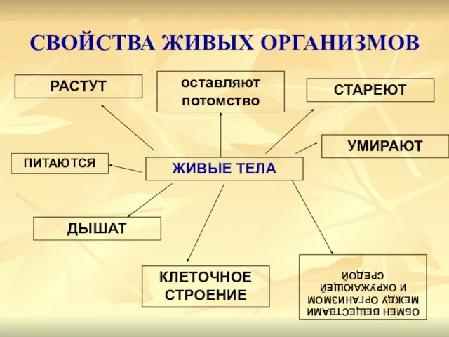 ЖИВЫЕ ТЕЛА ДЫШАТ оставляют потомство ПИТАЮТСЯ РАСТУТ УМИРАЮТ СТАРЕЮТ КЛЕТОЧНОЕ СТРОЕНИЕ