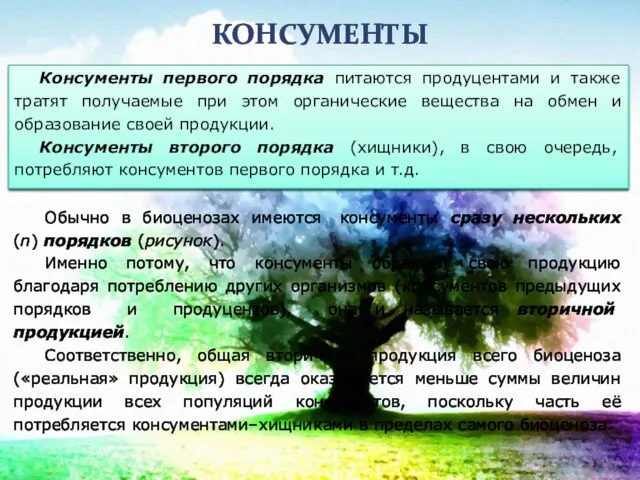 КОНСУМЕНТЫ Обычно в биоценозах имеются консументы сразу нескольких (n) порядков (рисунок).