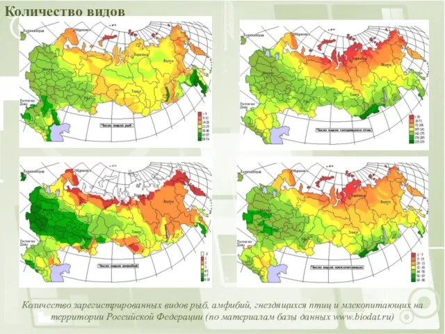 Количество зарегистрированных видов рыб, амфибий, гнездящихся птиц и млекопитающих на территории