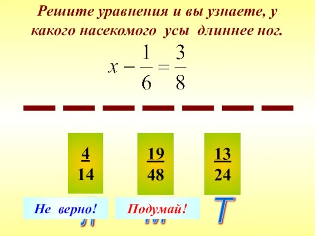 Решите уравнения и вы узнаете, у какого насекомого усы длиннее ног.