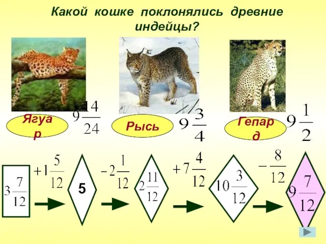 Какой кошке поклонялись древние индейцы? Ягуар 5