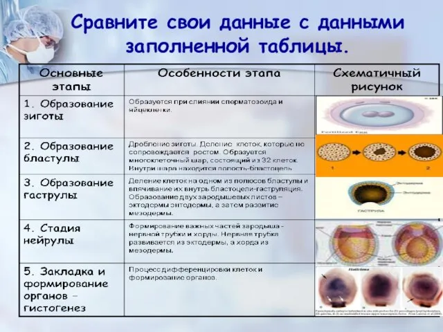 Сравните свои данные с данными заполненной таблицы.