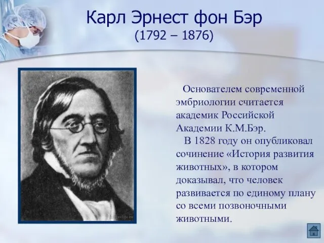 Карл Эрнест фон Бэр (1792 – 1876) Основателем современной эмбриологии считается