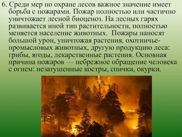 6. Среди мер по охране лесов важное значение имеет борьба с