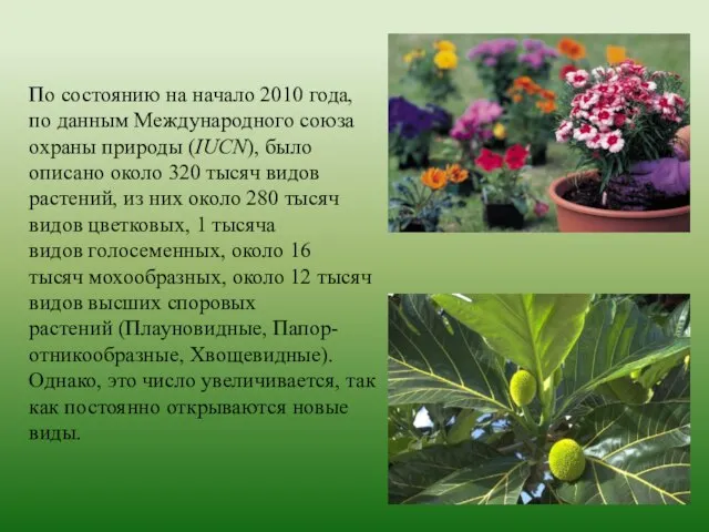 По состоянию на начало 2010 года, по данным Международного союза охраны