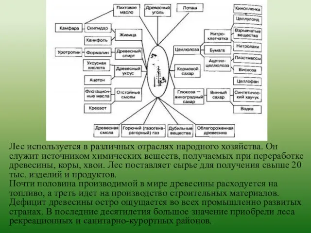 Лес используется в различных отраслях народного хозяйства. Он служит источником химических