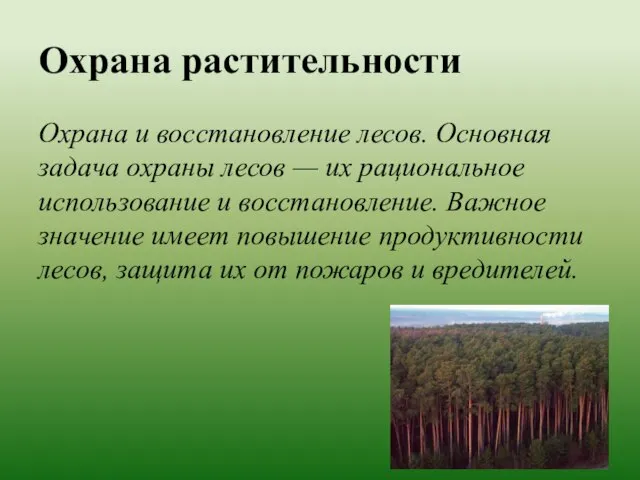 Охрана растительности Охрана и восстановление лесов. Основная задача охраны лесов —