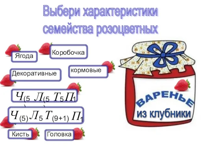 Выбери характеристики семейства розоцветных из клубники