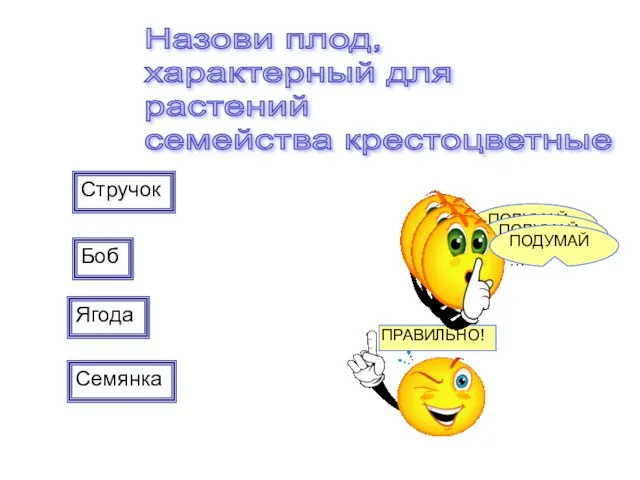 Стручок Боб Ягода Семянка Назови плод, характерный для растений семейства крестоцветные