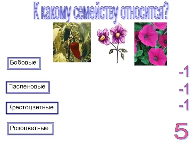 Пасленовые Розоцветные Крестоцветные Бобовые К какому семейству относится? 5 -1 -1 -1