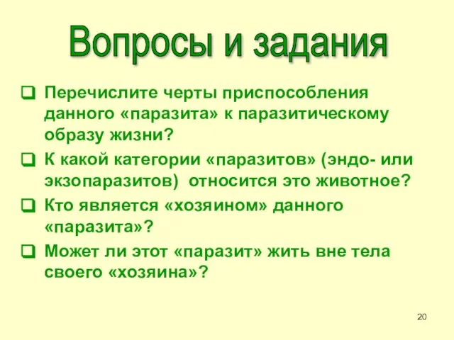 Перечислите черты приспособления данного «паразита» к паразитическому образу жизни? К какой