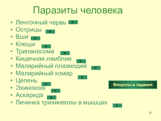 Паразиты человека Ленточный червь Острицы Вши Клещи Трипаносома Кишечная лямблия Малярийный