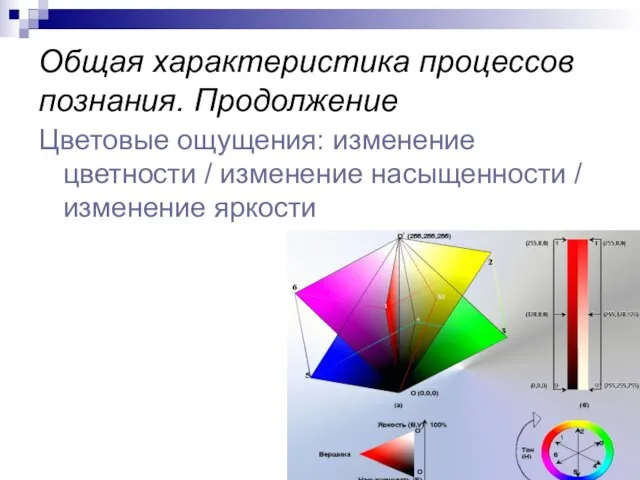 Общая характеристика процессов познания. Продолжение Цветовые ощущения: изменение цветности / изменение насыщенности / изменение яркости