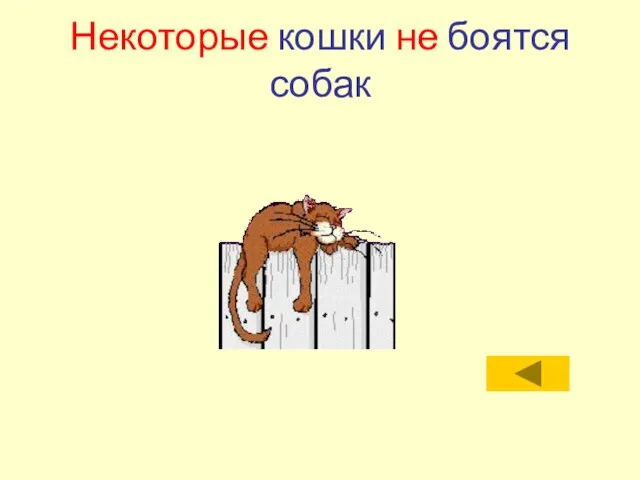 Некоторые кошки не боятся собак