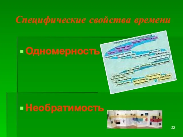 Специфические свойства времени Одномерность Необратимость