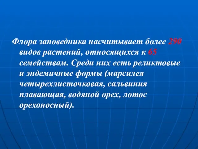 Флора заповедника насчитывает более 290 видов растений, относящихся к 65 семействам.